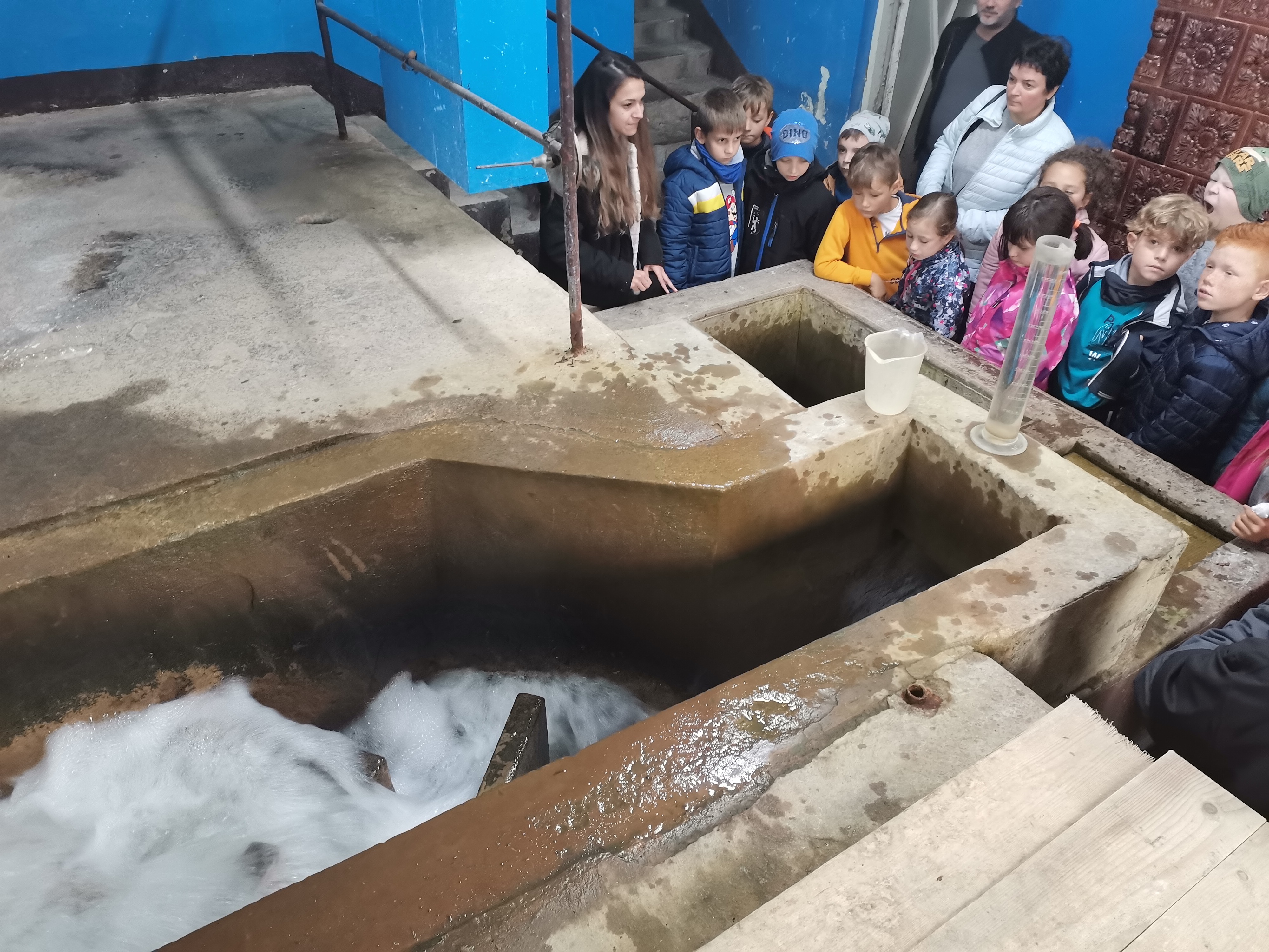 Barabás-Pál Hajnalka